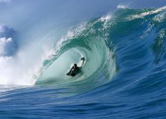 BIG WAVE  Hawaii
