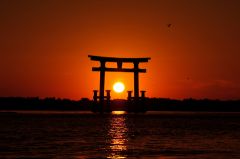 Fascinating JAPAN